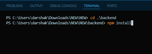 Terminal showing npm install command